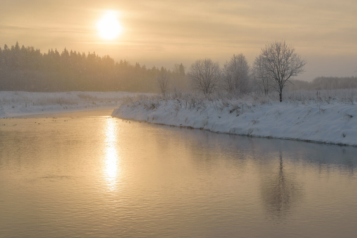 Река Ижора во время мороза и метелицы - Дарья Меркулова