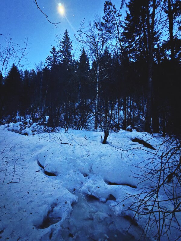 Зимний ручей при свете луны - Владилен Панченко Зимний ручей при свете луны - Владилен Панченко