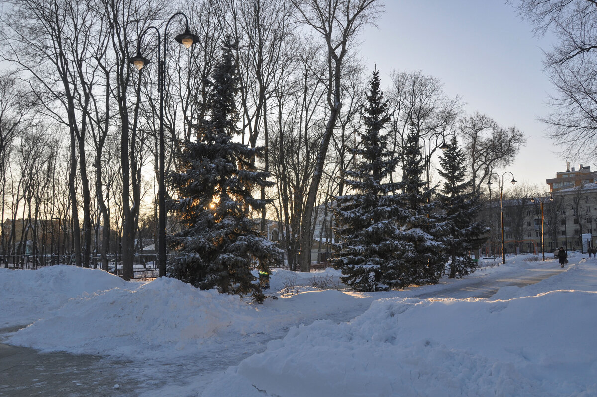 Зимний закат в парке "Орлёнок" - Татьяна Машошина Зимний закат в парке "Орлёнок" - Татьяна Машошина