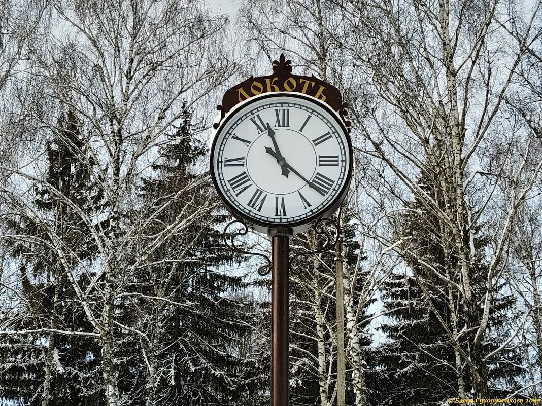 Часы - Елена Сухорученкова