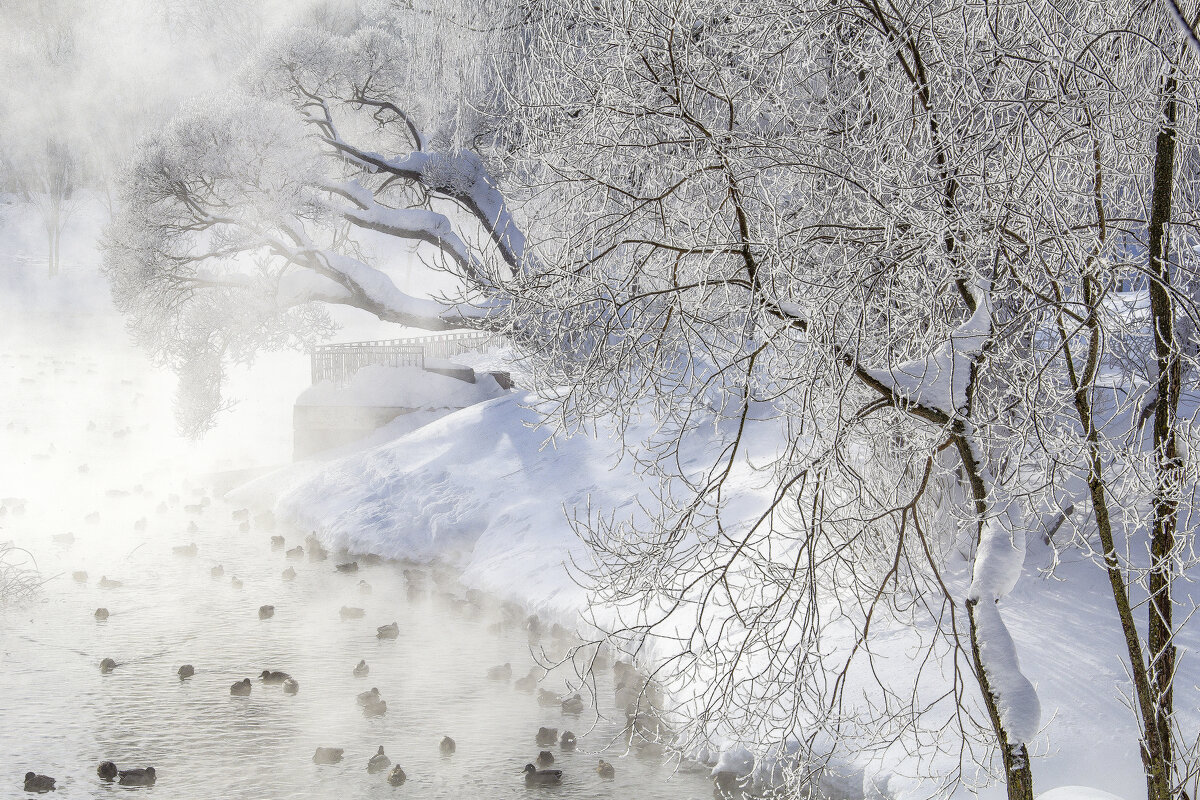 В парке - Галина Новинская В парке - Галина Новинская