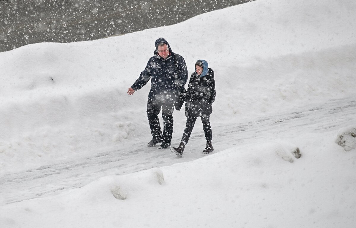 Прогулка в снегопад - Валерий Иванович Прогулка в снегопад - Валерий Иванович