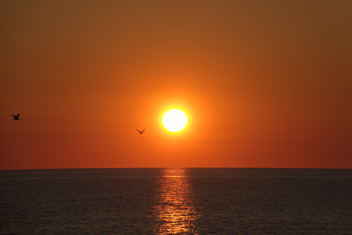 Тёплый вечер. - Марина Леонидовна Тёплый вечер. - Марина Леонидовна