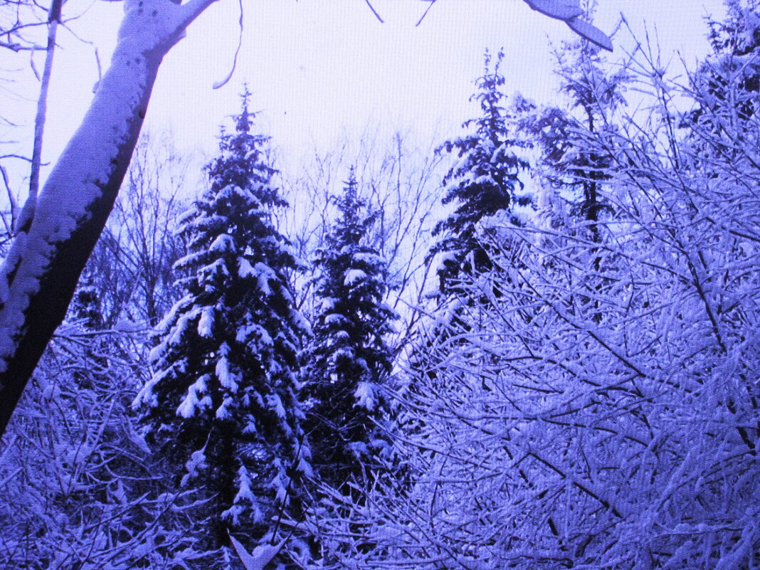 В лесу - Людмила Смородинская