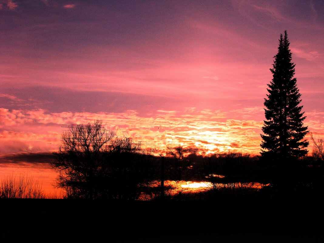 Пылающий вечер - Людмила Смородинская