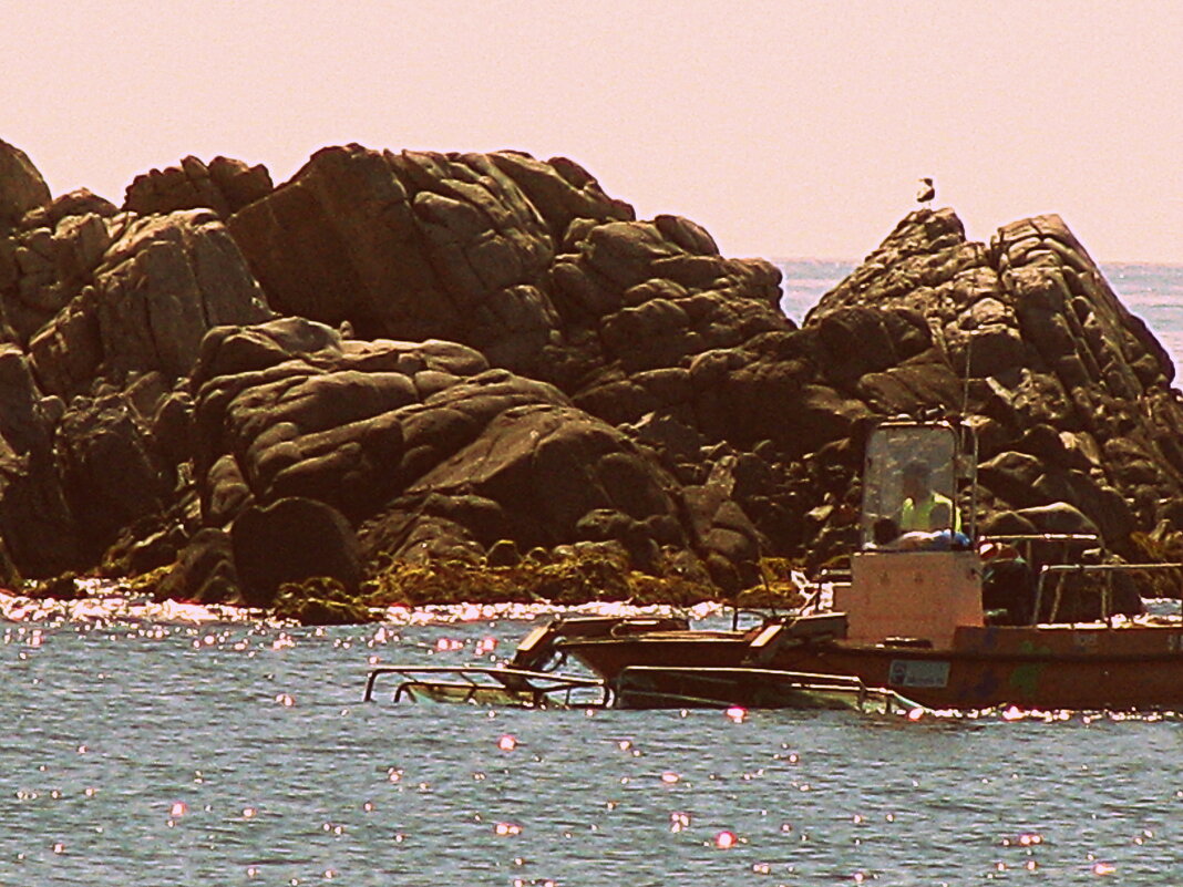 Пляж Барселоны. - Владимир Драгунский