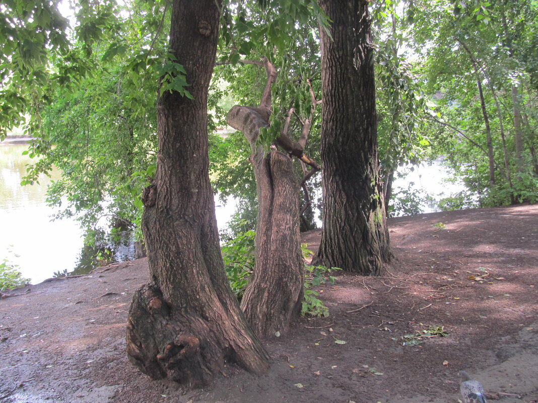 у Исети в Екатеринбурге - Елена Шаламова у Исети в Екатеринбурге - Елена Шаламова