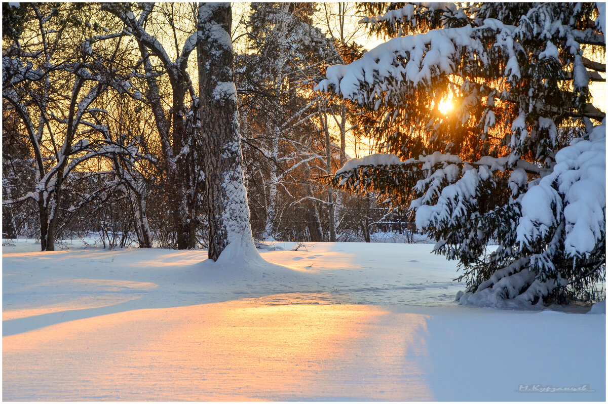 Морозный день. - Михаил Курзанцев Морозный день. - Михаил Курзанцев