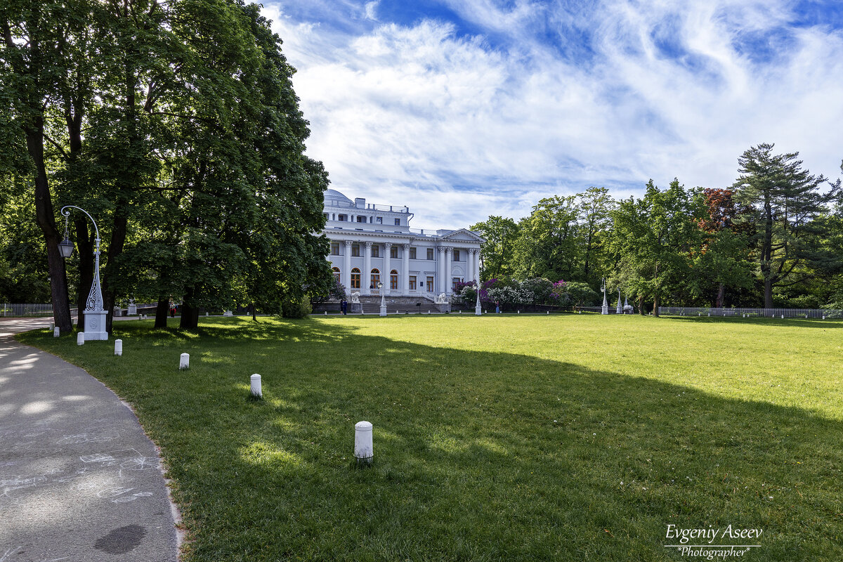 Лето на Елагином - Евгений 