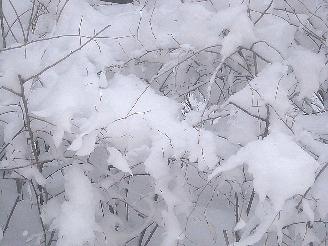 Снежной зимой - Елена Семигина