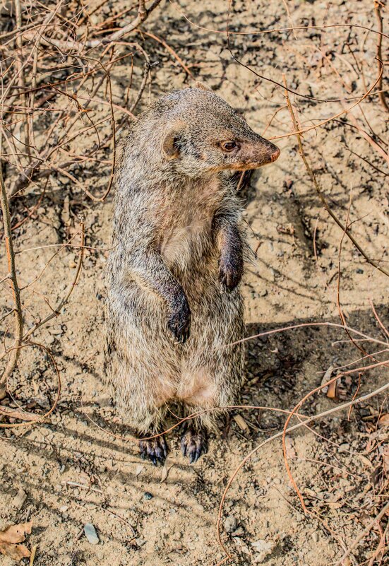 а я стою такая вся...... - Аркадий Лаптенко