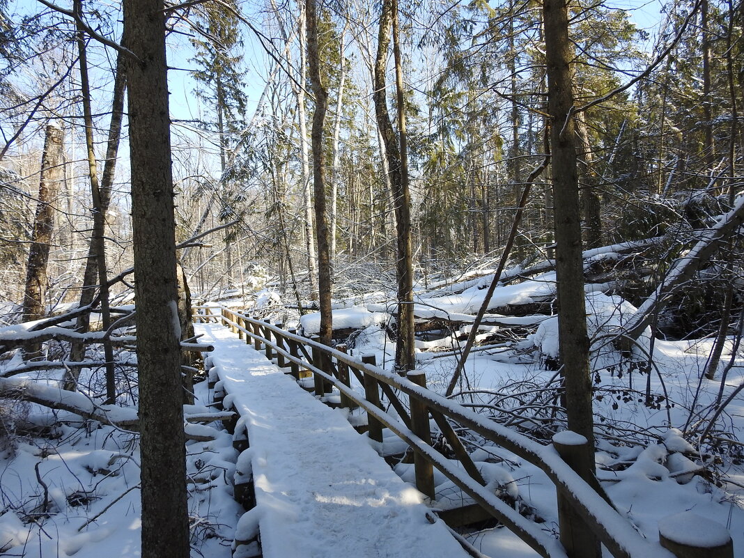 Кемерский национальный парк - ИННА ПОРОХОВА