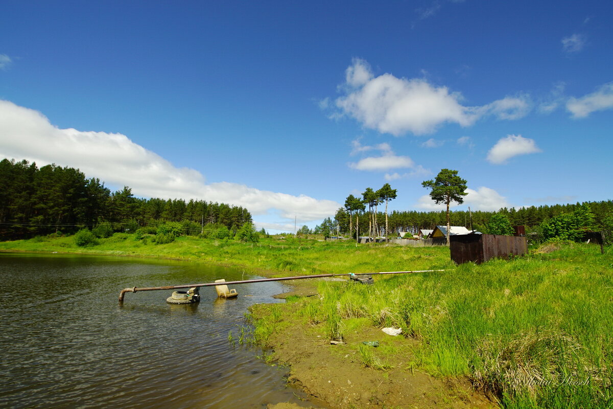 По Турье.. - Николай Гирш