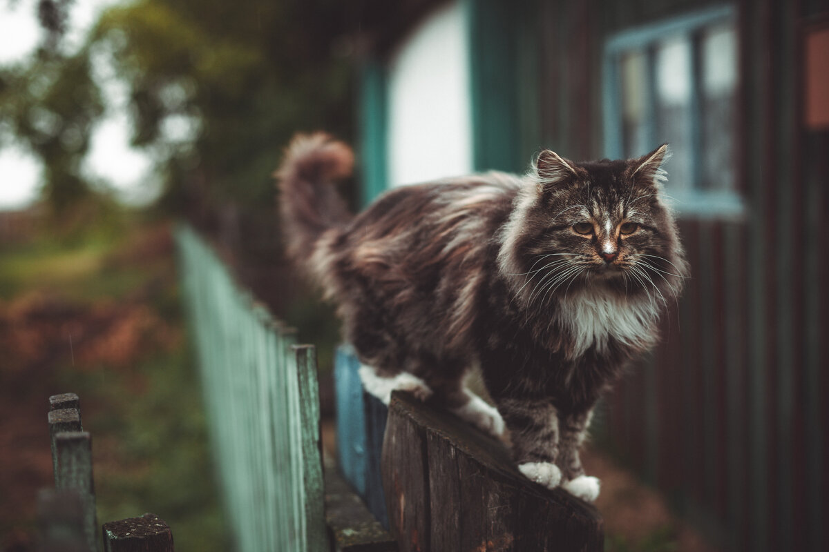 ученый - Антон Лихач