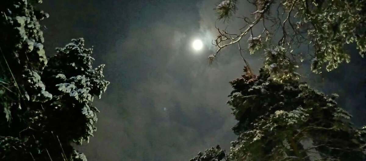 Зимняя ночь - Михаил Столяров