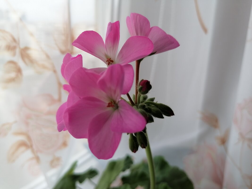 ,,, - Сергей Тимоновский