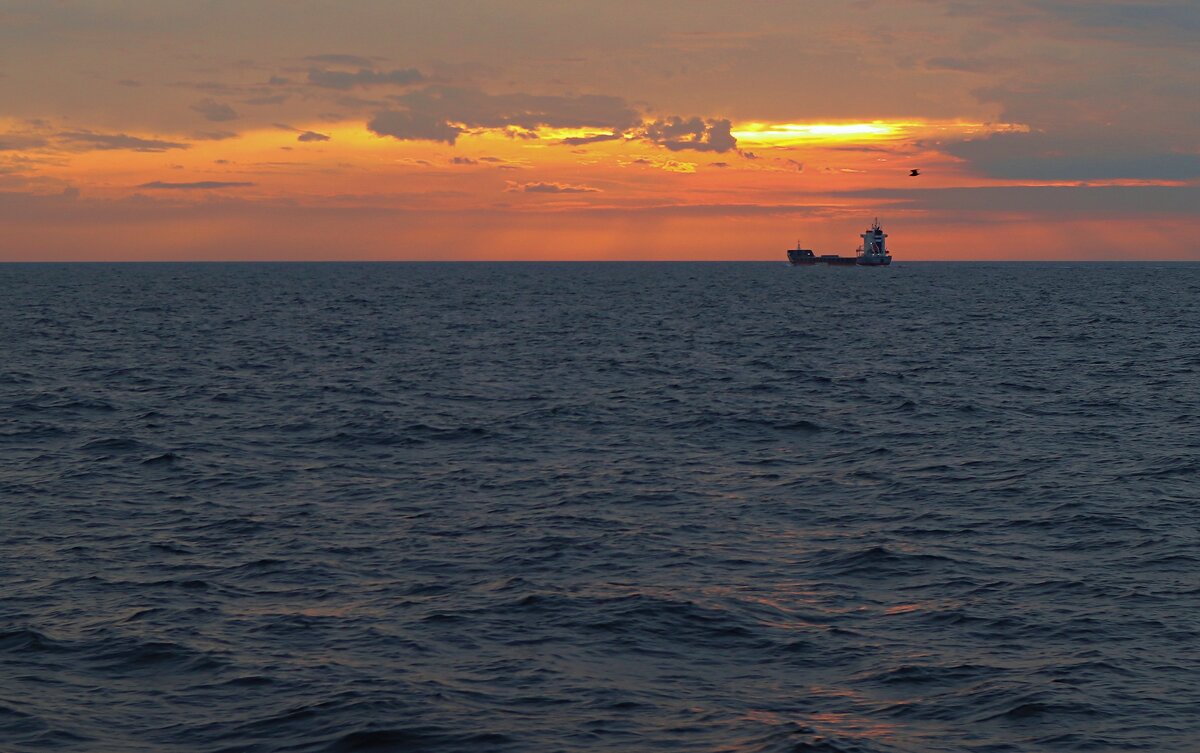 Бискай - В.И 