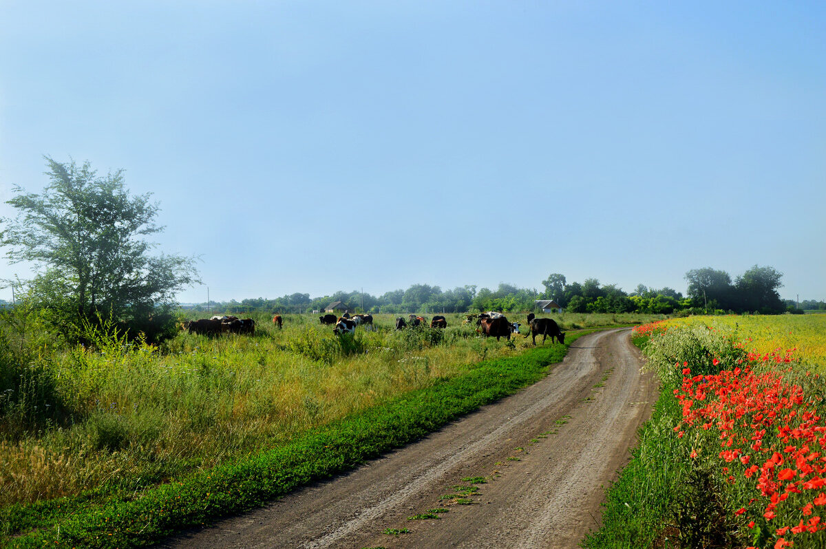 За околицей... - Надежда Куркина За околицей... - Надежда Куркина