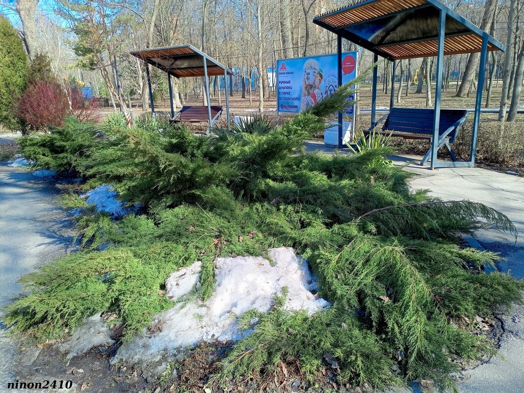 Последний день зимы... - Нина Бутко