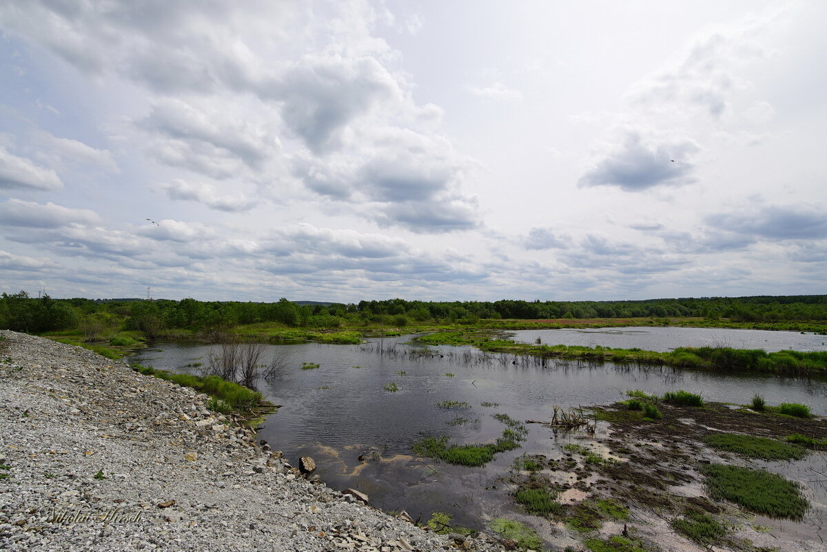Уральские мотивы... - Николай Гирш