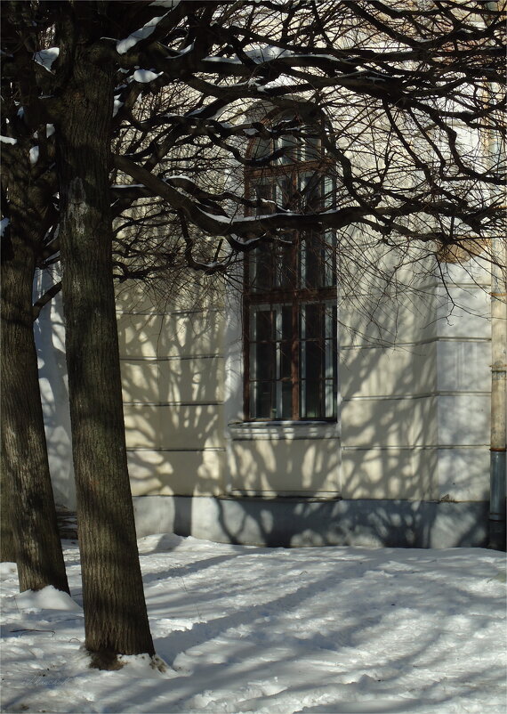 окно в Кленовую аллею - sv.kaschuk окно в Кленовую аллею - sv.kaschuk