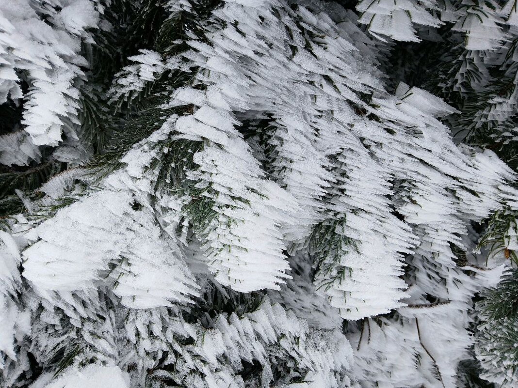 *** - Екатерина Филипенко