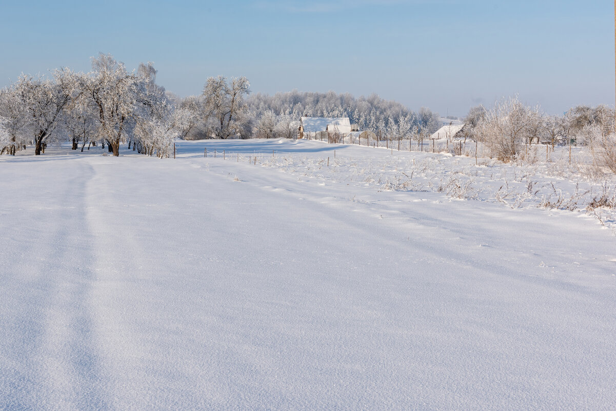 Зимняя зарисовка - Александр Мезенцев