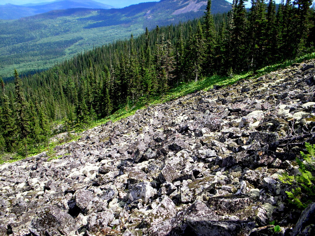 ЖУРАВЛЕВО - Tata Wolf