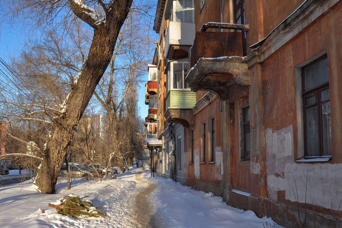 Ёлку прямо с балкона... в феврале ) - Татьяна Машошина Ёлку прямо с балкона... в феврале ) - Татьяна Машошина