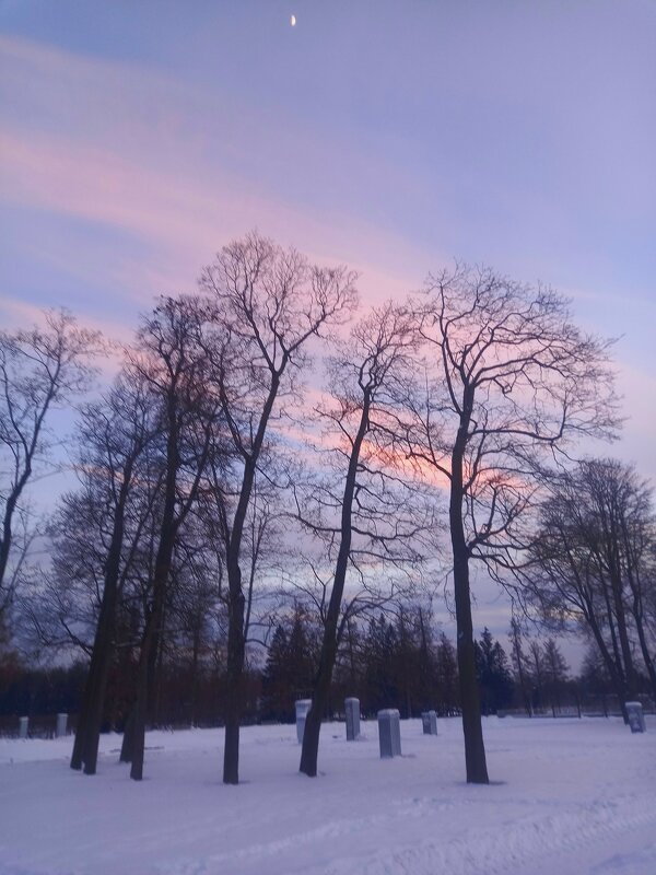 Закат - Сапсан Закат - Сапсан