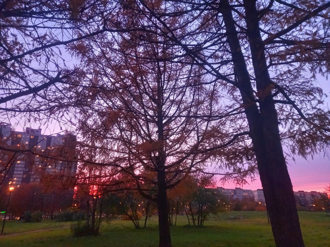 Закат - Сапсан Закат - Сапсан