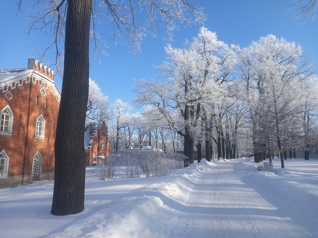 Зима - Сапсан 
