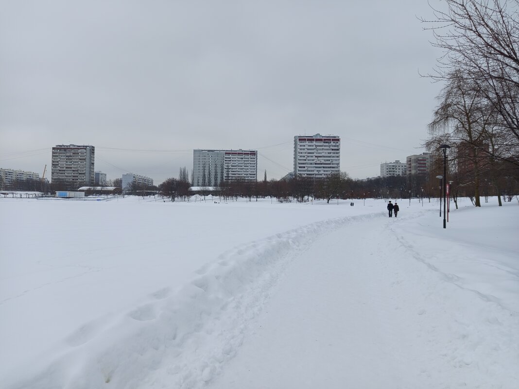 Последний день зимы в Москве (зарисовки неюного натуралиста) - Андрей Лукьянов