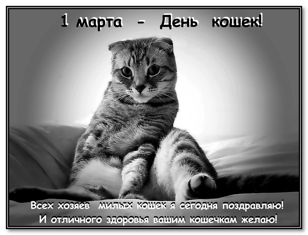 Поздравление от Бори - Ольга Довженко