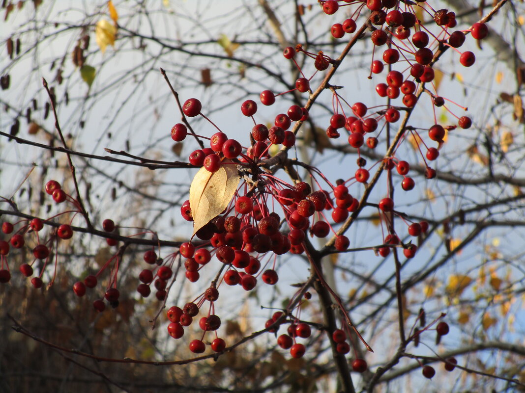 сентябрь  Урал - Елена Шаламова