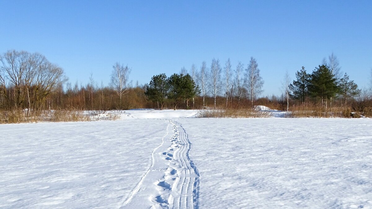 След рыбака. - Милешкин Владимир Алексеевич 