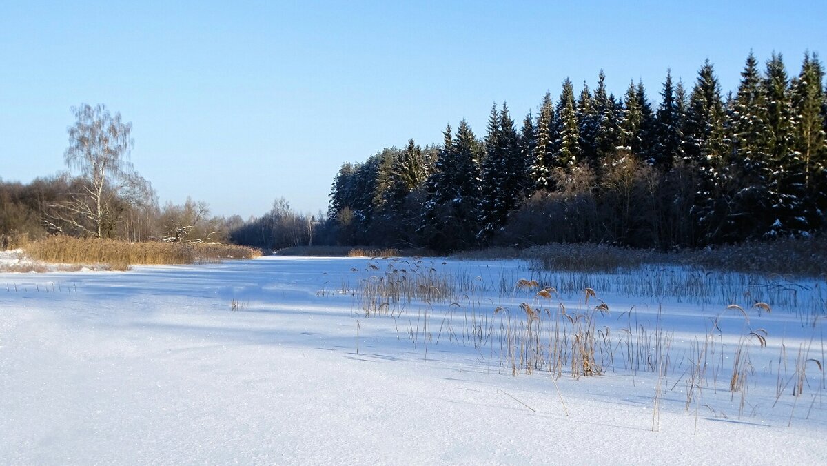 Зимний пейзаж. - Милешкин Владимир Алексеевич 