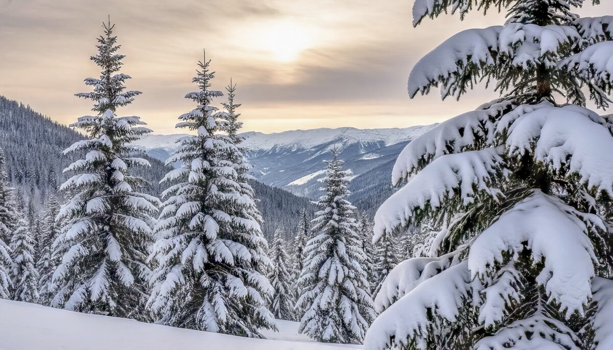 Полюбуемся на уходящую зиму ... - Ravile 