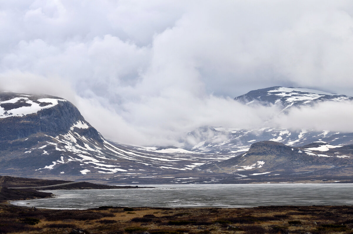 Уже весна! - Alexandеr P