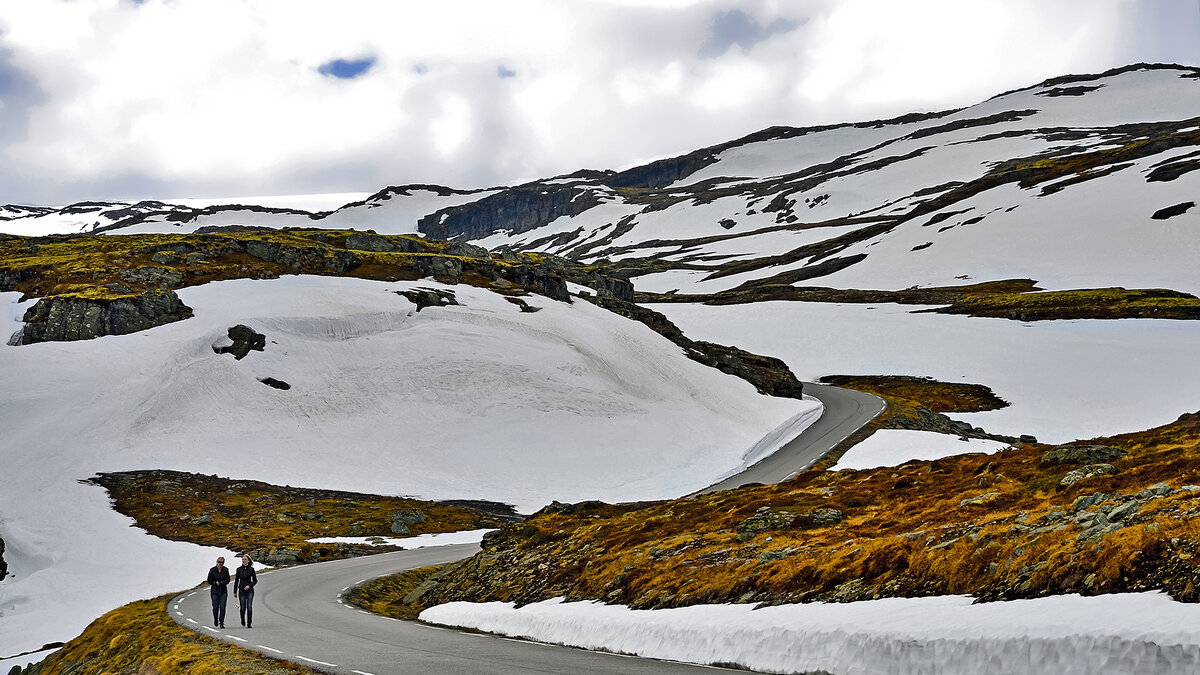 Тундра в цивилизованной стране - Alexandеr P