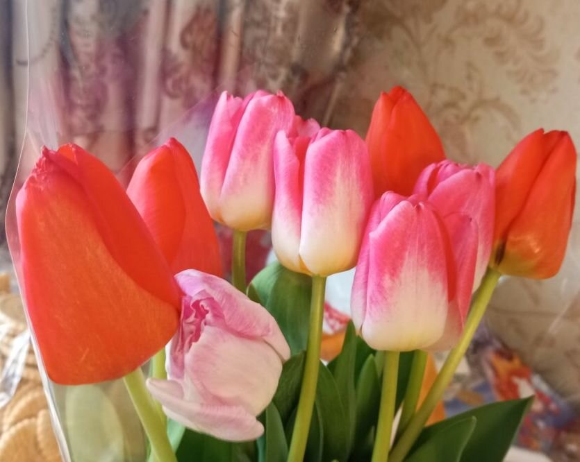 С ПЕРВЫМ ДНЕМ ВЕСНЫ! СЧАСТЬЯ И ЛЮБВИ ВАМ! - Елена Семигина