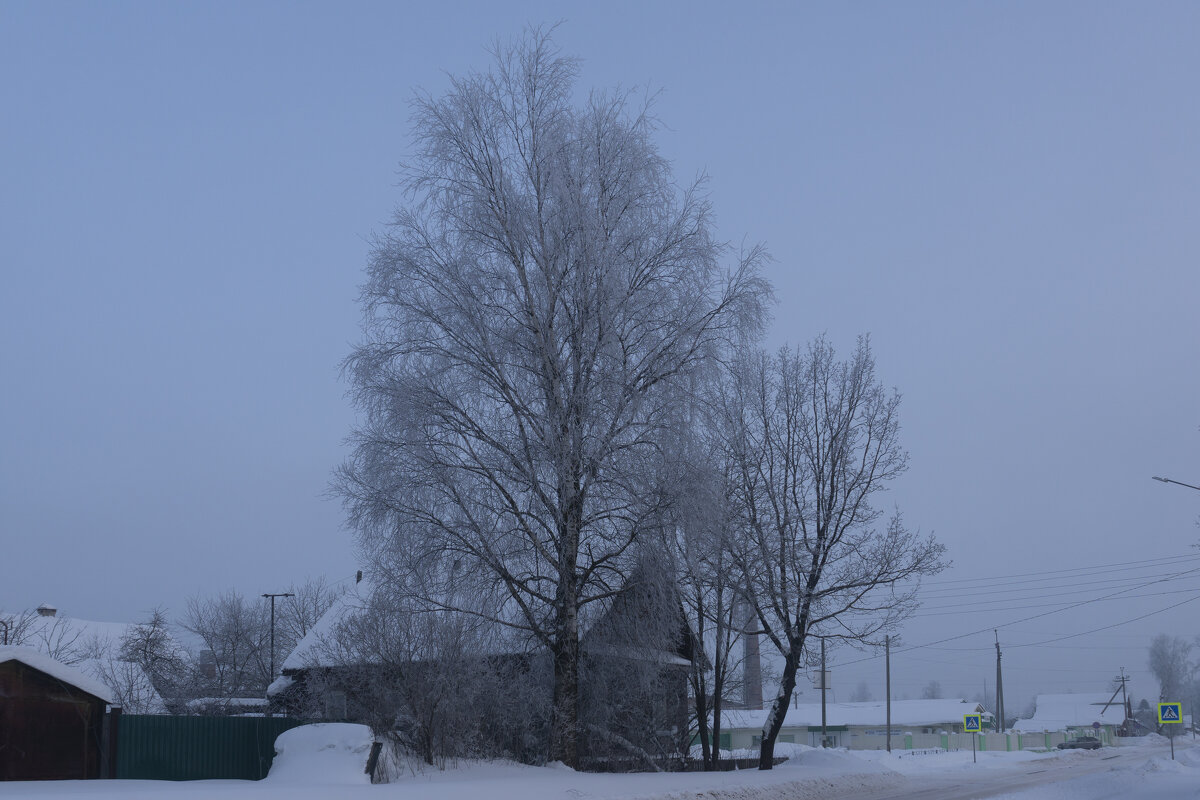 Туманное утро в Устюжне - Александр Буторин Туманное утро в Устюжне - Александр Буторин