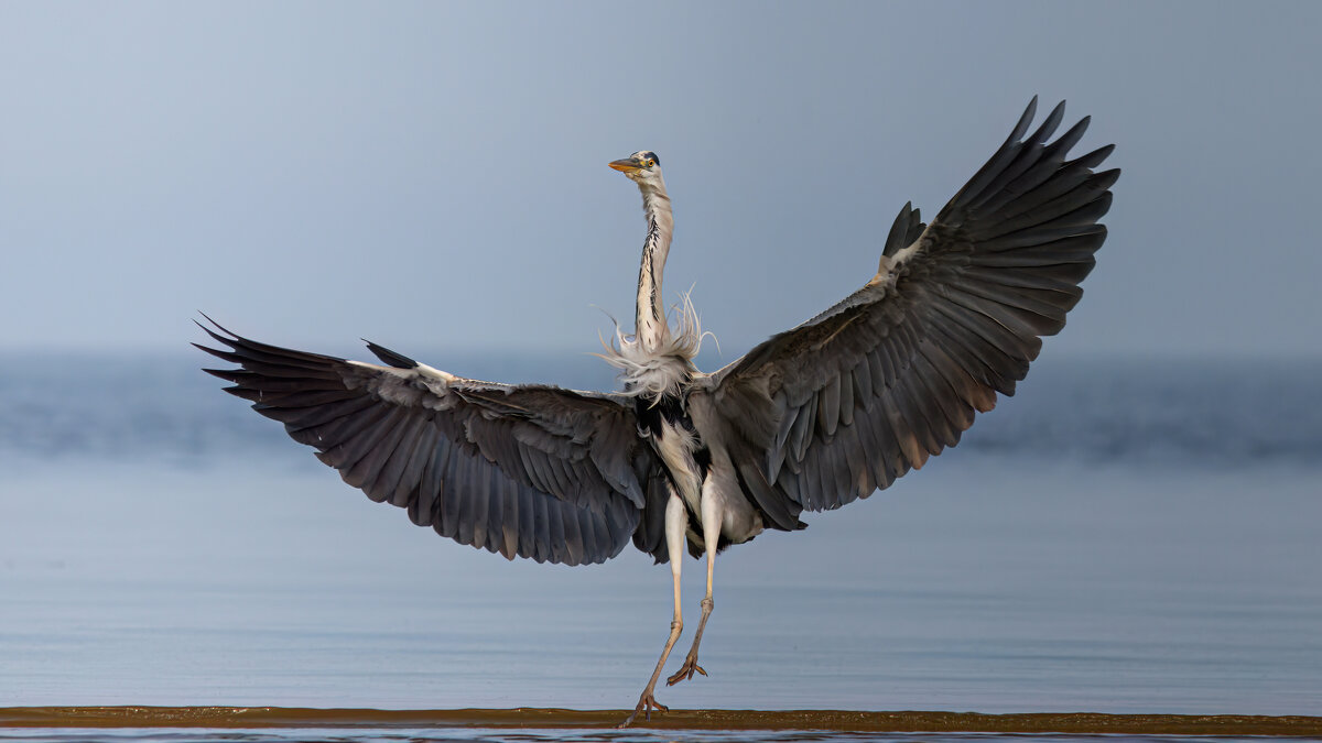 Ба! Какие люди! - Георгий Бондаренко Ба! Какие люди! - Георгий Бондаренко