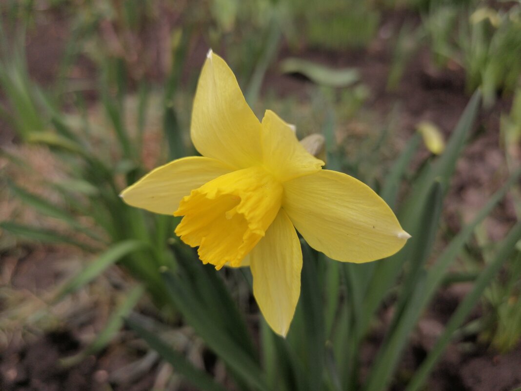 ,,, - Сергей Тимоновский