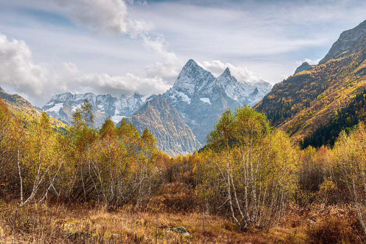 *** - Аnatoly Gaponenko