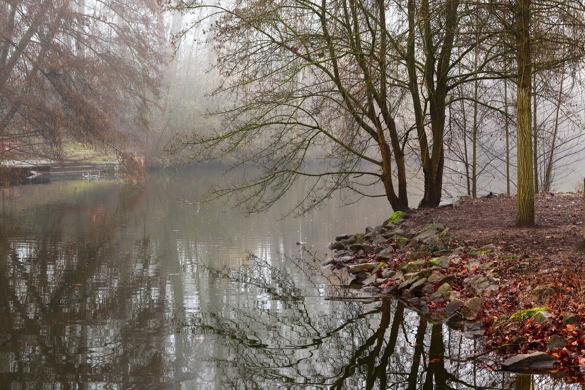 Февральский туман - Юрий. Шмаков Февральский туман - Юрий. Шмаков