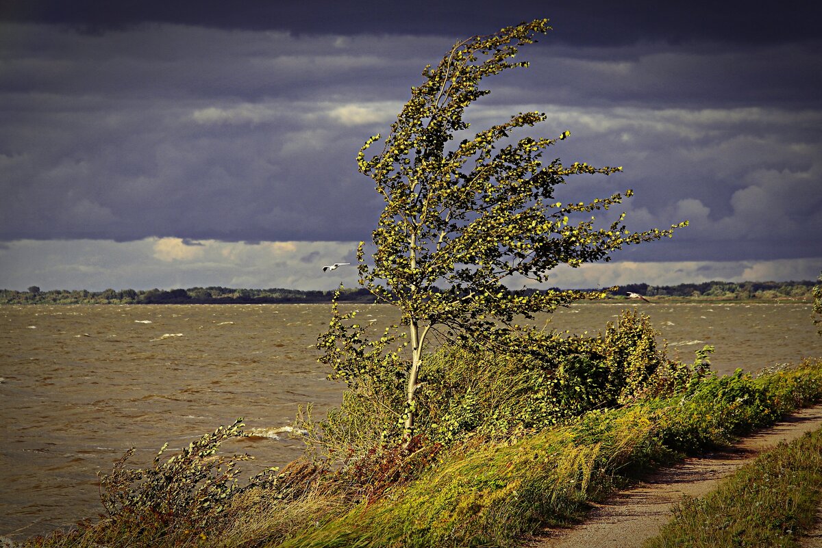 Непогода_ - В.И 