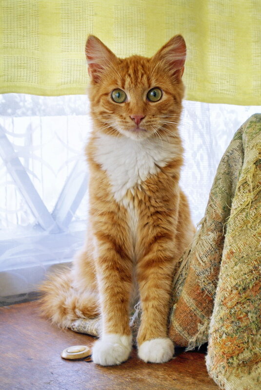 Деревенский - Валерий Судачок