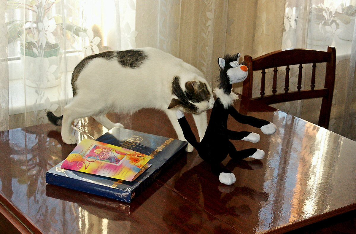 "Кто это такой?". Триптих, часть1. - MILAV V