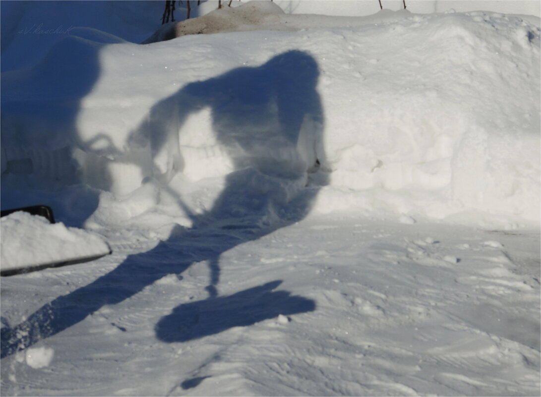 мартовское привидение - sv.kaschuk мартовское привидение - sv.kaschuk